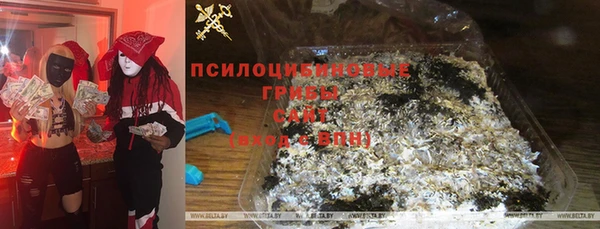 дурь Надым