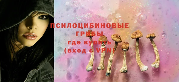 дурь Надым