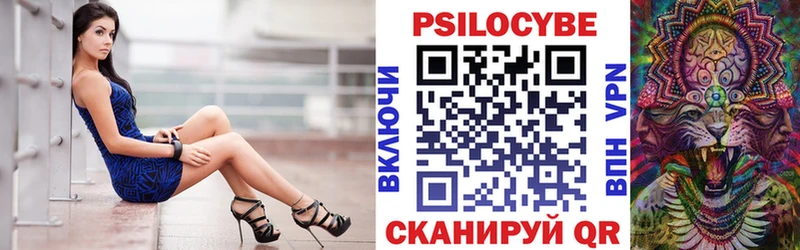 как найти закладки  Кедровый  Псилоцибиновые грибы Psilocybe 