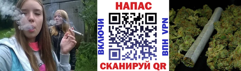 МАРИХУАНА ГИДРОПОН  Кедровый 